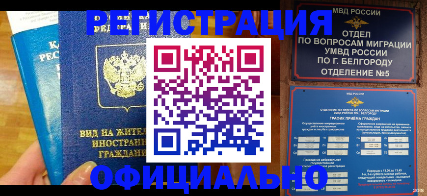 прописка 2025 в Вологде